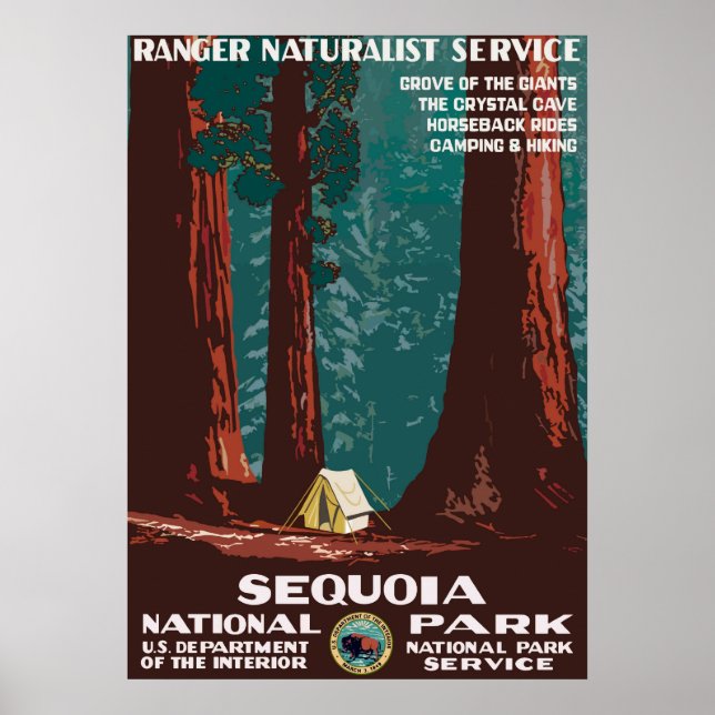 Póster Sequoia (Frente)