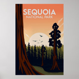 Póster Sequoia