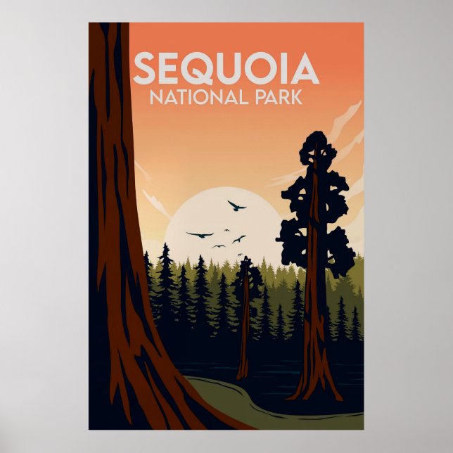Póster Sequoia (Frente)