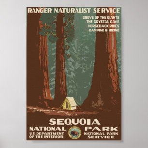 Póster Sequoia National Park Vintage Travel