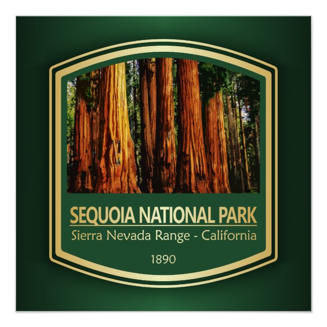 Póster Sequoia NP (PF1) (Anverso)