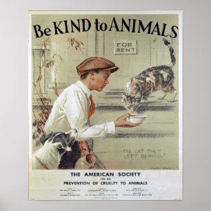 Póster Ser amable con los animales-gatos