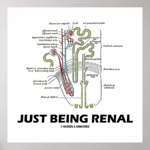 Póster Ser Renal (Humor Renal Nefro Riñón)