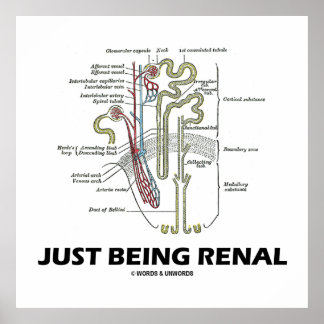 Póster Ser Renal (Humor Renal Nefro Riñón)