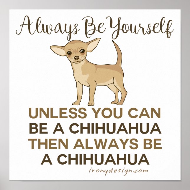 Póster Ser siempre un Chihuahua (Frente)