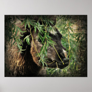 Póster Ser un pequeño y lleno bajo el árbol salvaje