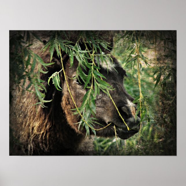 Póster Ser un pequeño y lleno bajo el árbol salvaje (Frente)