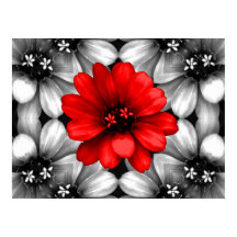 Ser una flor roja diferente