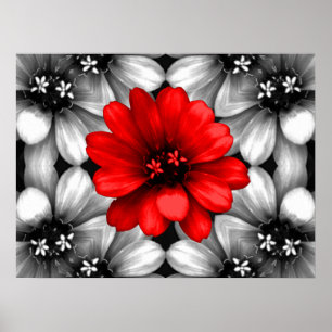 Póster Ser una flor roja diferente