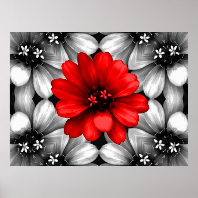 Póster Ser una flor roja diferente (Frente)