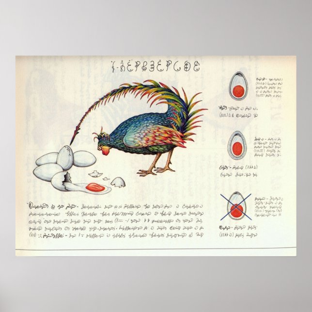 Póster Seraphinianus codex (Frente)