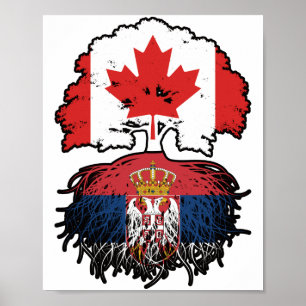 Póster Serbia Bandera de raíces de árbol canadiense serbi