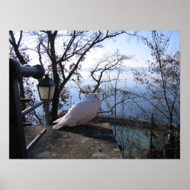 Póster Serene Overlook