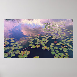 Póster Serene Waterlilies