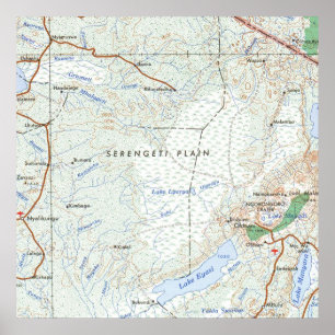 Póster Serengeti Plain Vintage Map