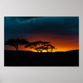 Póster Serengeti Sunset