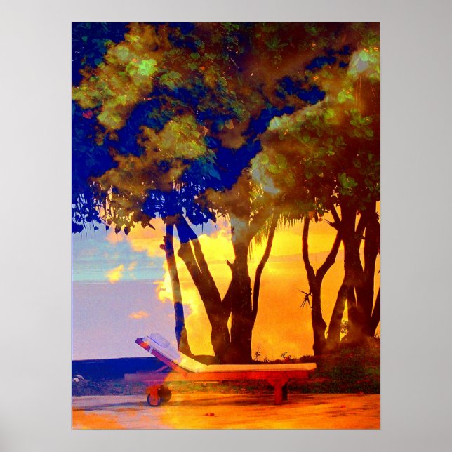 PÓSTER SERENIDAD DE FIJI (Frente)