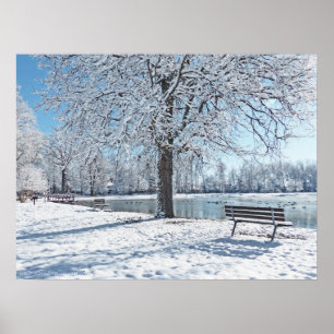 PÓSTER SERENIDAD EN EL PARQUE LANDER/PRIMERA NIEVE