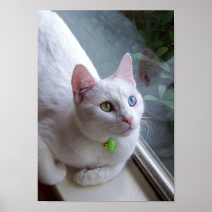 Póster Serenidad por el poster de la ventana