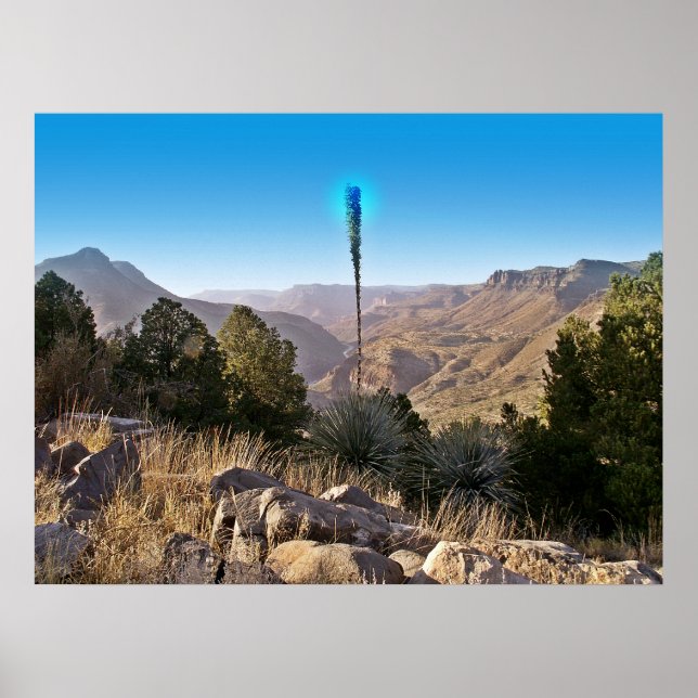 Póster Serenidad - Poster (Frente)