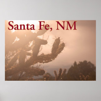 Póster Serenidad Santa Fe: Cactus de Cholla en el Poster