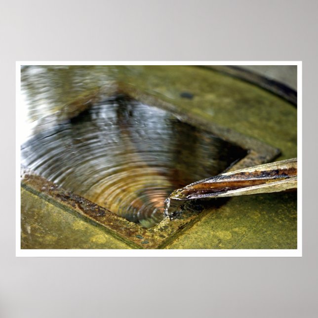 Póster Serenity (Frente)