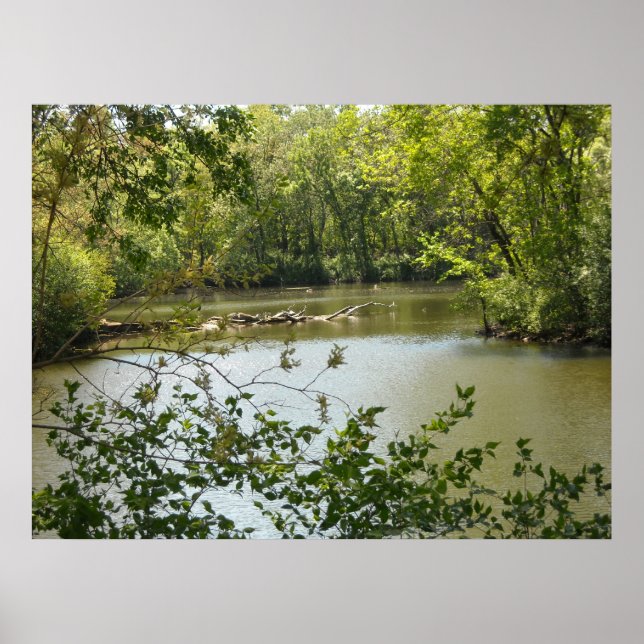 Póster Sereno 2 (Frente)