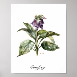 Póster Sereno Comfrey Acuarela, personalizado 