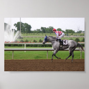 Póster Serie de LSP (2)