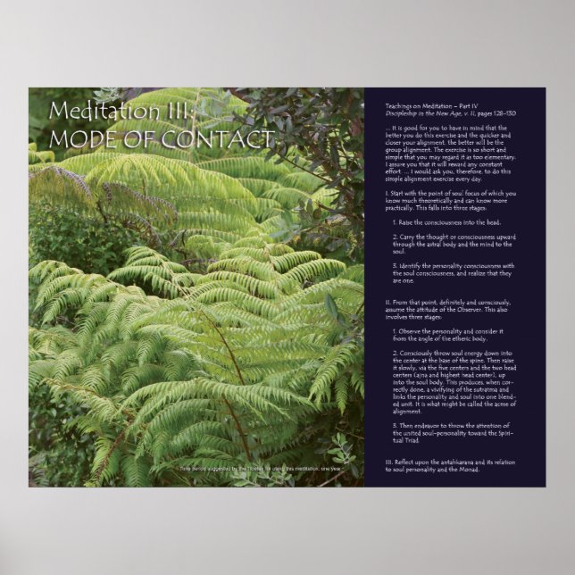 Póster Serie de Meditación DK: Meditación III (Frente)