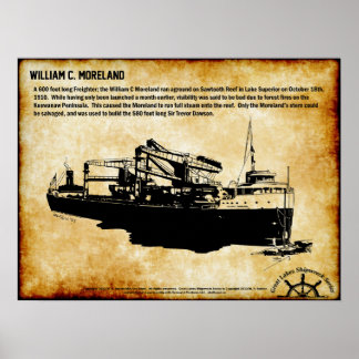 Póster Serie de naufragios de los Grandes Lagos: William