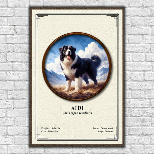 Póster Serie de Zoología Aidi