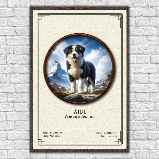 Póster Serie de Zoología Aidi (Subido por el creador)