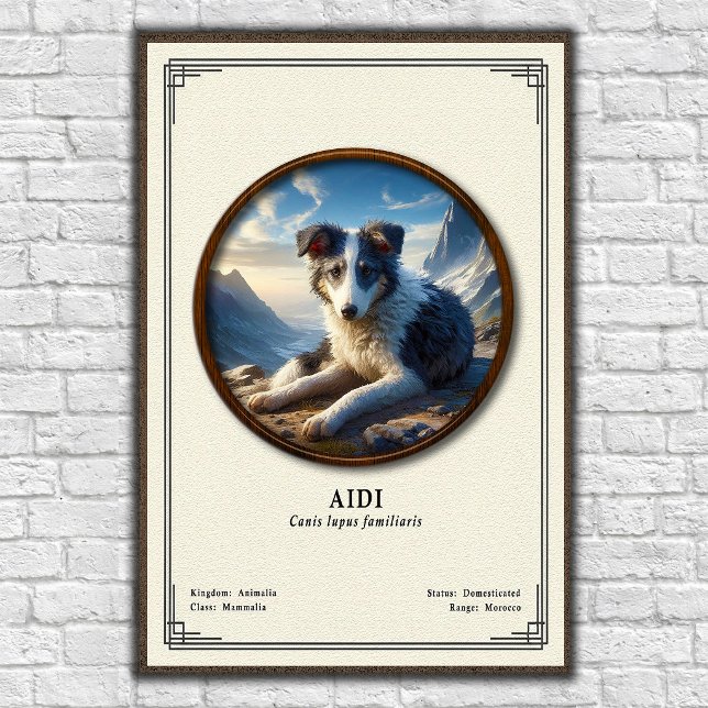 Póster Serie de Zoología Aidi (Subido por el creador)