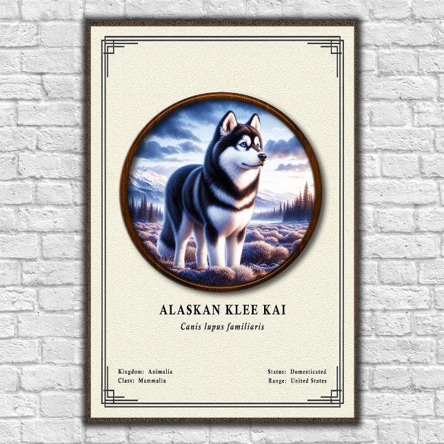 Póster Serie de Zoología Alaskan Klee Kai (Subido por el creador)
