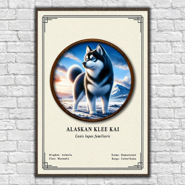 Póster Serie de Zoología Alaskan Klee Kai (Subido por el creador)