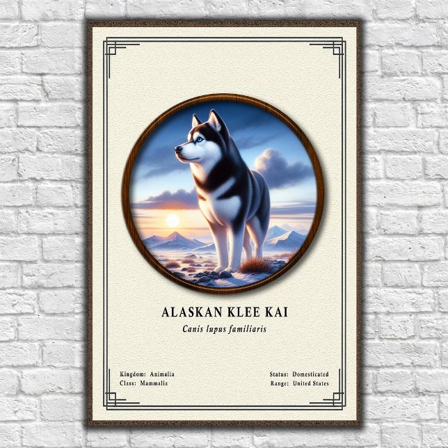 Póster Serie de Zoología Alaskan Klee Kai (Subido por el creador)