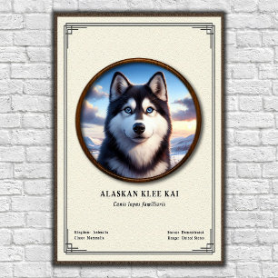 Póster Serie de Zoología Alaskan Klee Kai