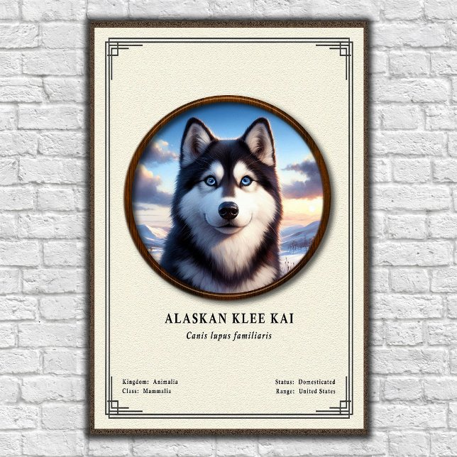 Póster Serie de Zoología Alaskan Klee Kai (Subido por el creador)