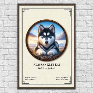 Póster Serie de Zoología Alaskan Klee Kai