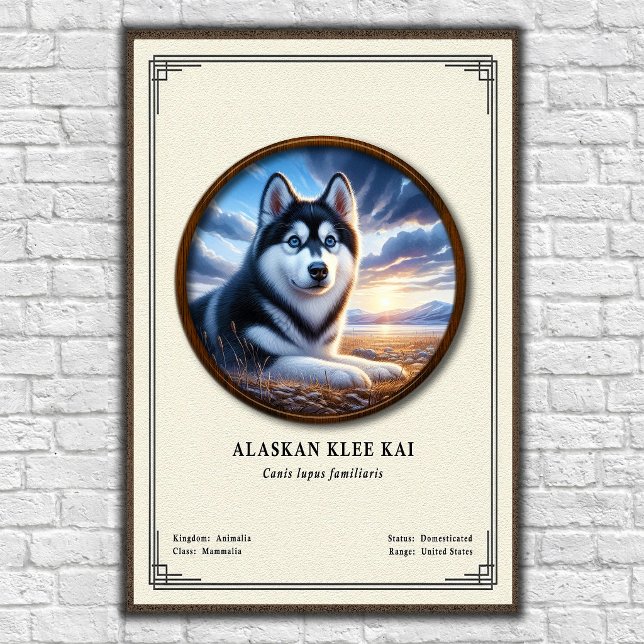 Póster Serie de Zoología Alaskan Klee Kai (Subido por el creador)