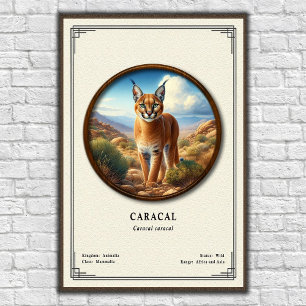 Póster Serie de Zoología Caracal
