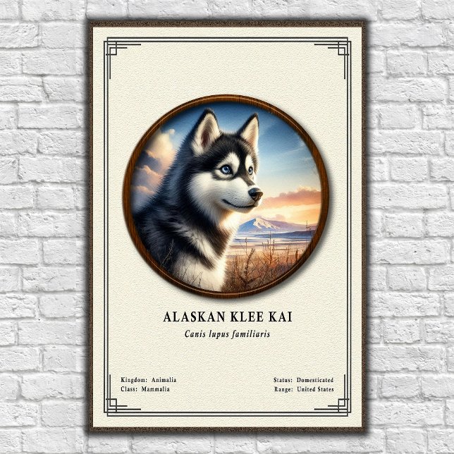 Póster Serie de Zoología de Alaskan Klee Kai (Subido por el creador)