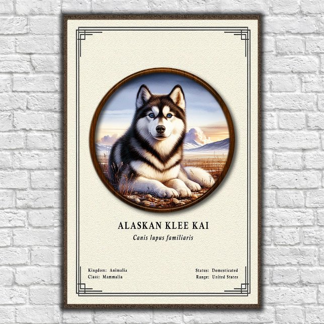 Póster Serie de Zoología de Alaskan Klee Kai (Subido por el creador)