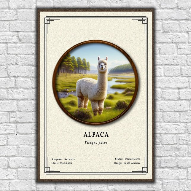 Póster Serie de Zoología de Alpaca (Subido por el creador)