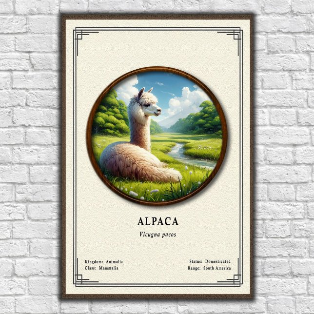 Póster Serie de Zoología de Alpaca (Subido por el creador)