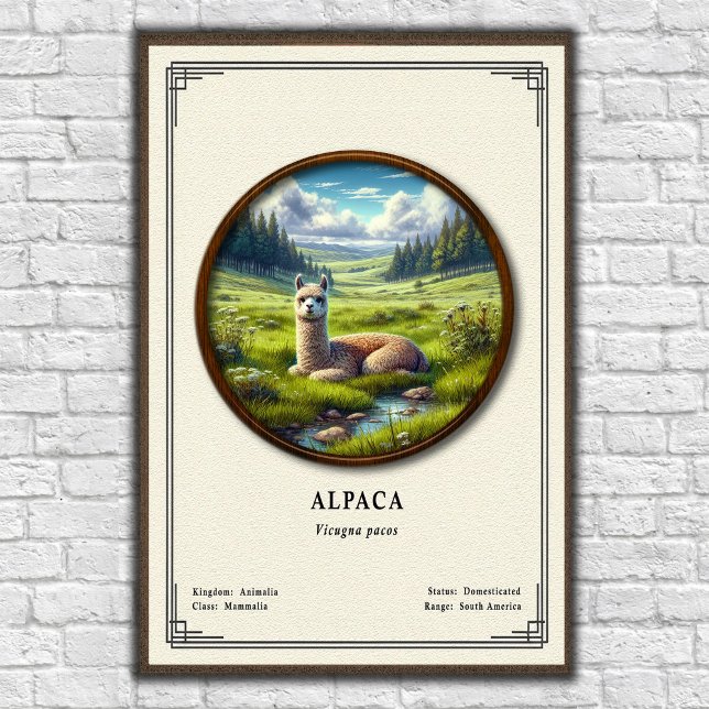 Póster Serie de Zoología de Alpaca (Subido por el creador)