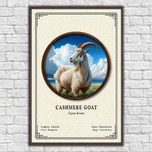 Póster Serie de Zoología de Cabra Cachemira