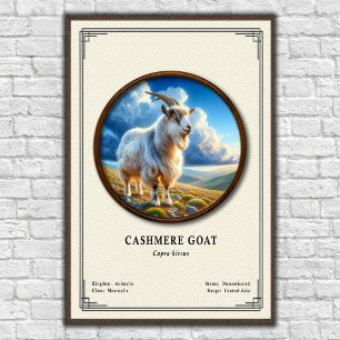 Póster Serie de Zoología de Cabra Cachemira