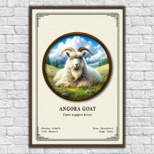 Póster Serie de Zoología de Cabra de Angora